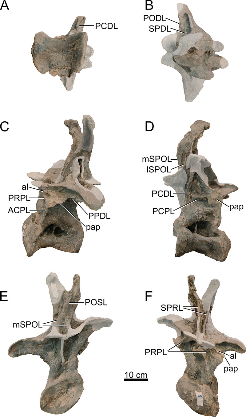 figure12