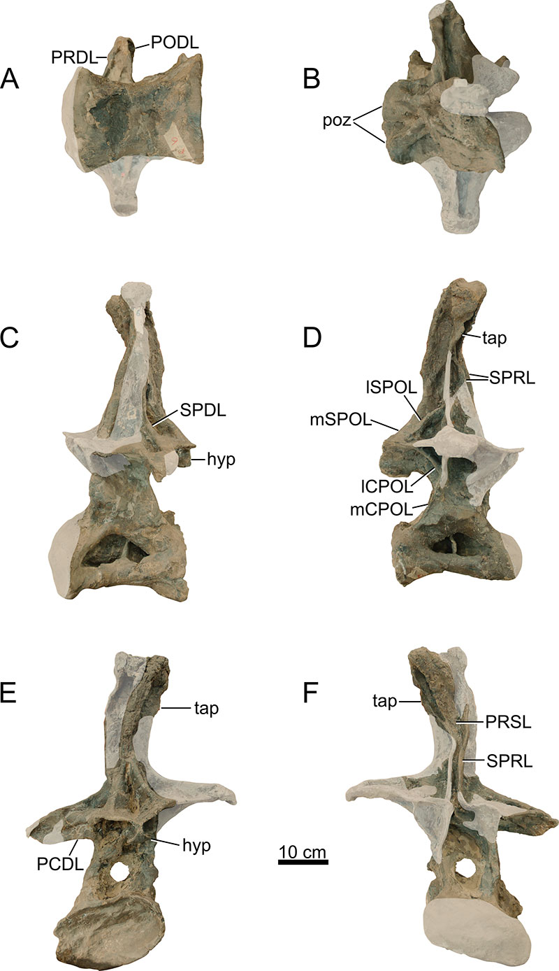 figure13