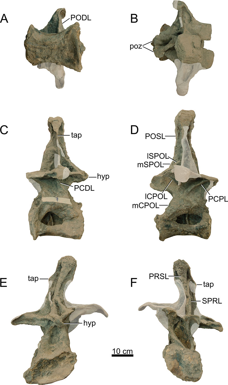 figure14