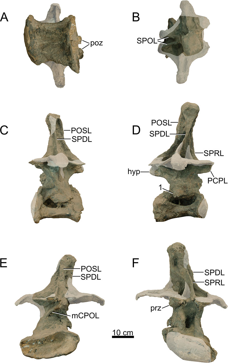 figure15