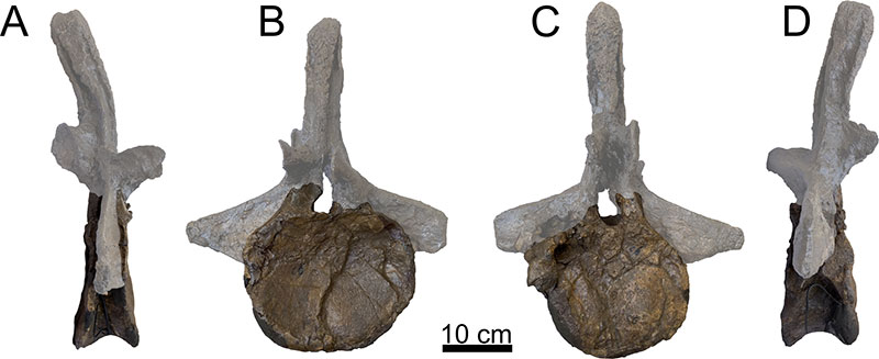 figure20