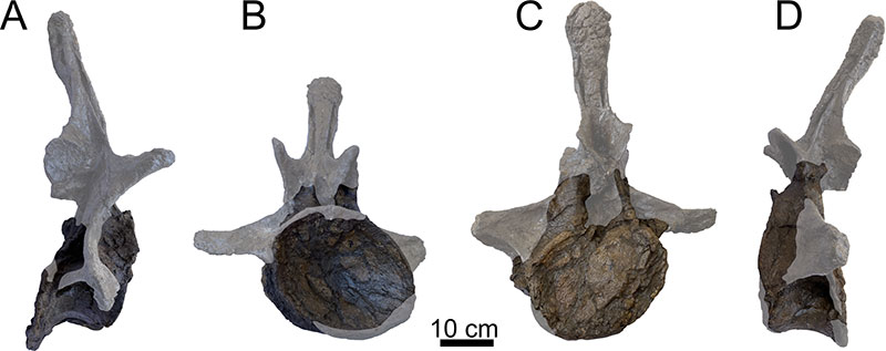 figure21