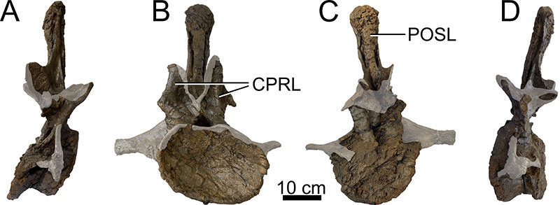 figure22