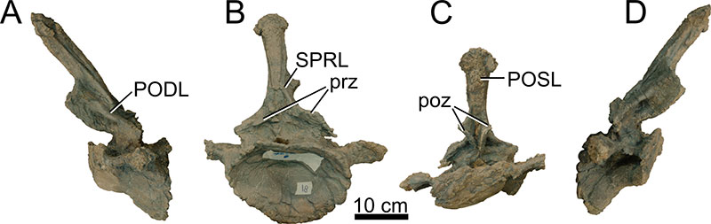 figure24