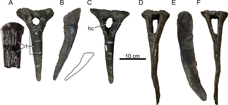 figure25