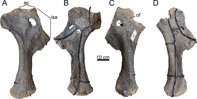 figure27