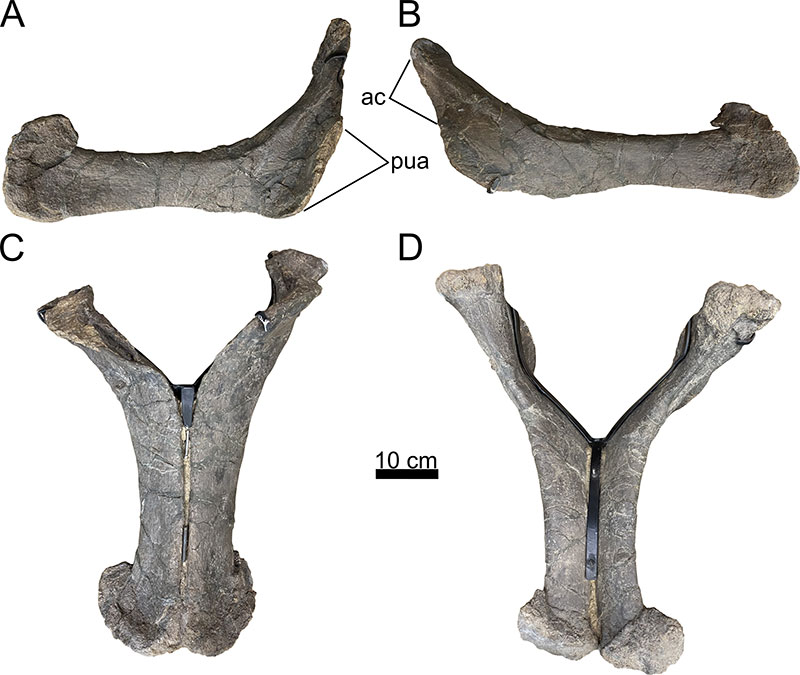 figure28