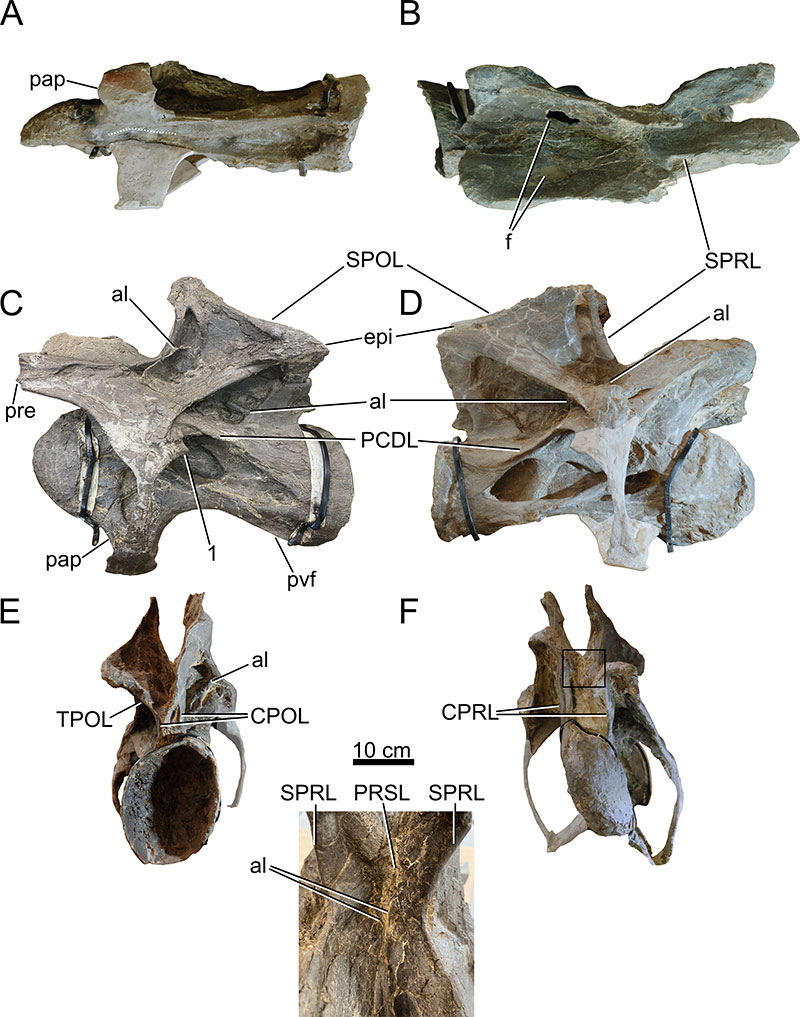 figure7