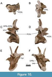 s figure10