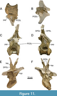 s figure11