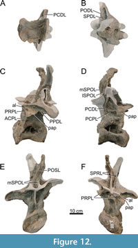 s figure12