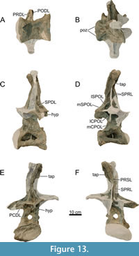 s figure13