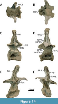 s figure14