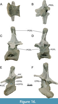 s figure16