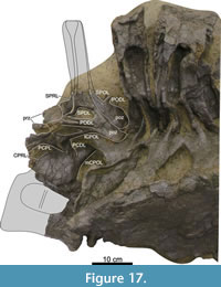 s figure17