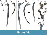 s figure18