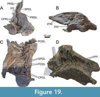 s figure19