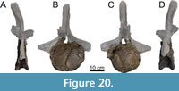 s figure20