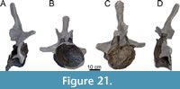 s figure21