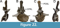 s figure22