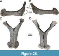 s figure28