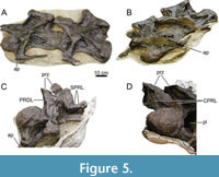 s figure5