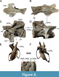 s figure6