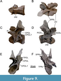 s figure9