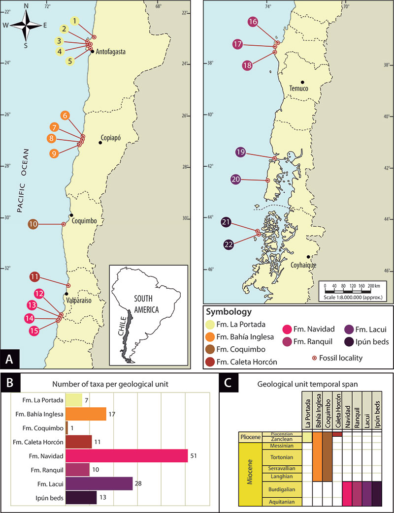 figure1