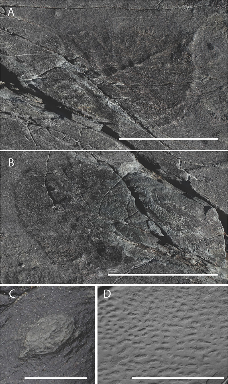 figure10