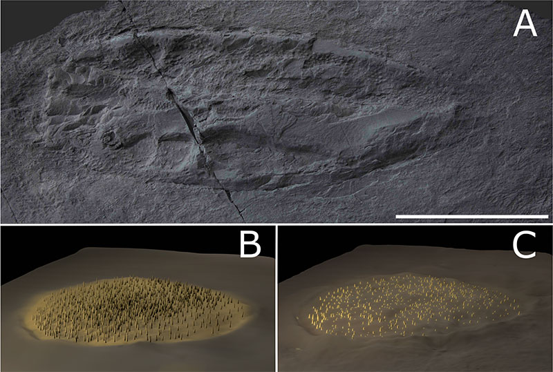 figure11
