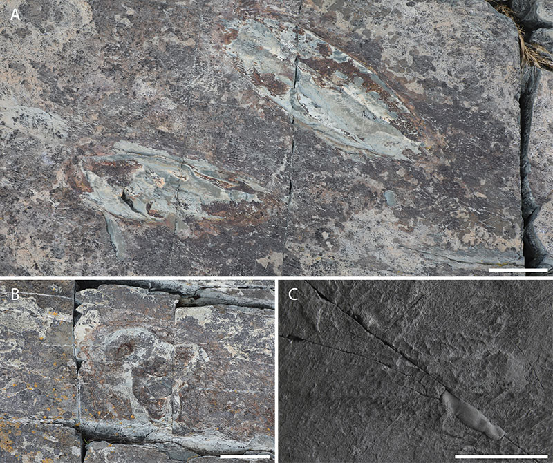 figure2