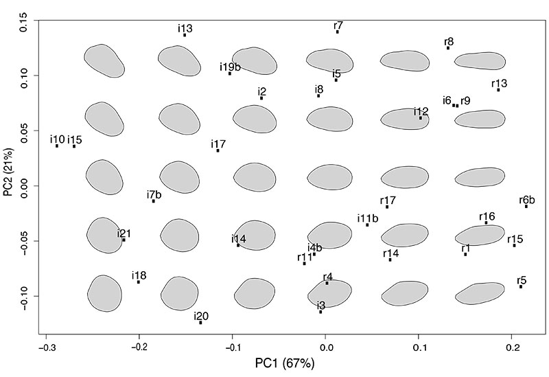 figure4