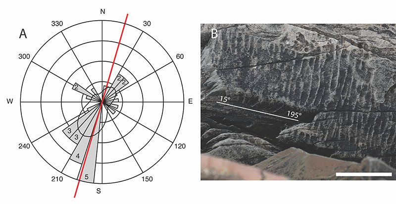 figure5