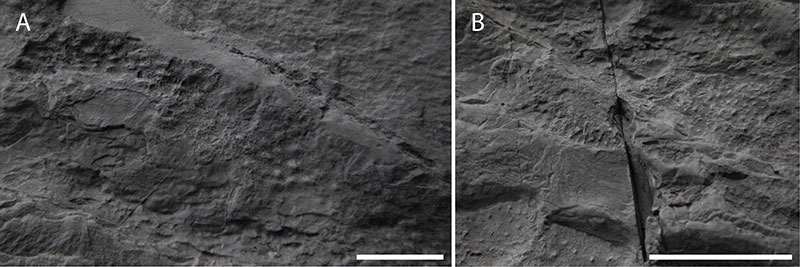 figure7
