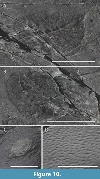 s figure10