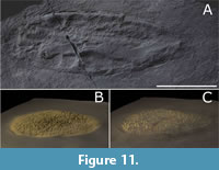 s figure11