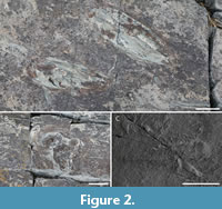 s figure2