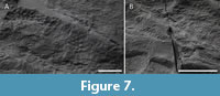s figure7