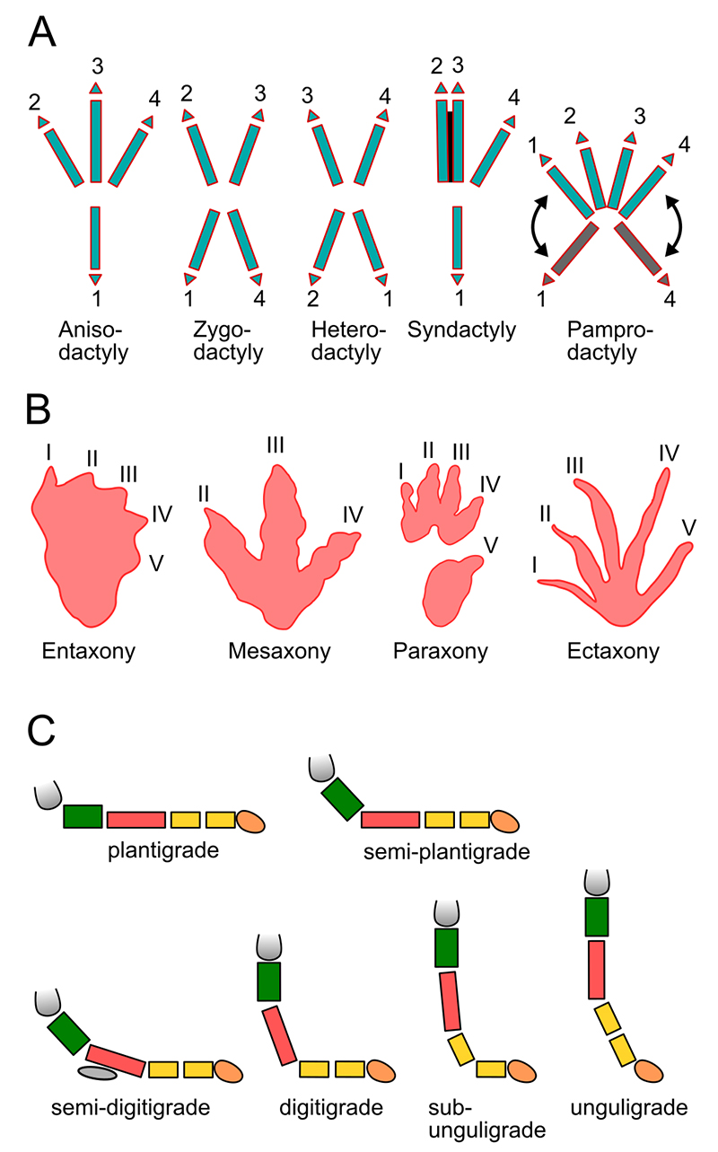 figure13