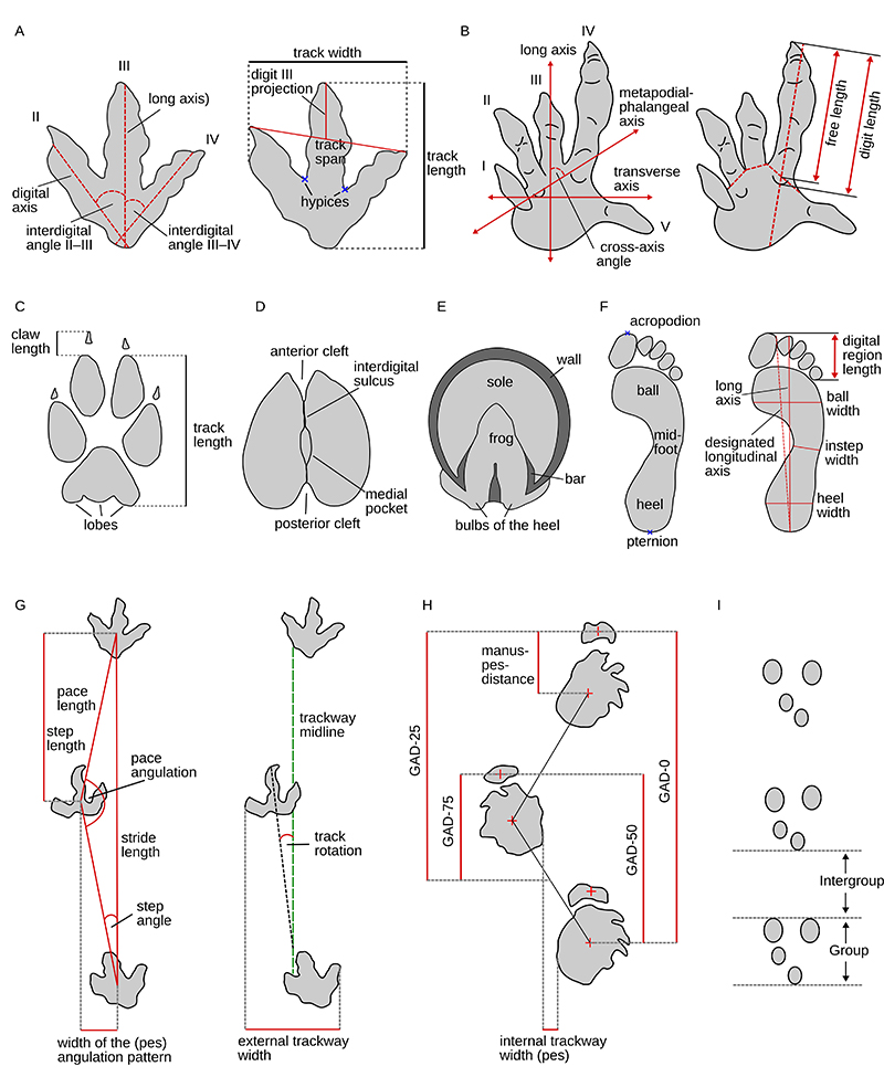 figure14