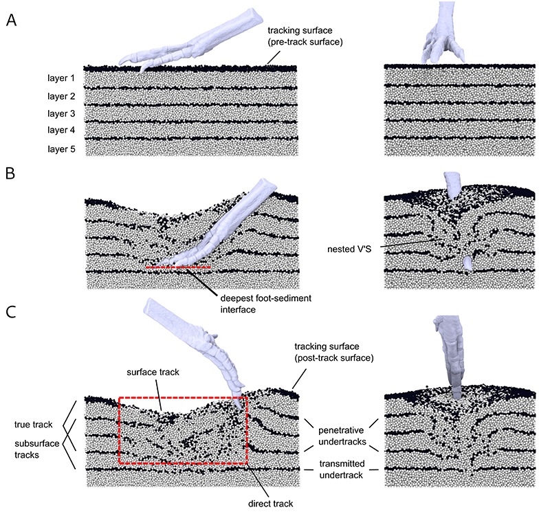 figure2