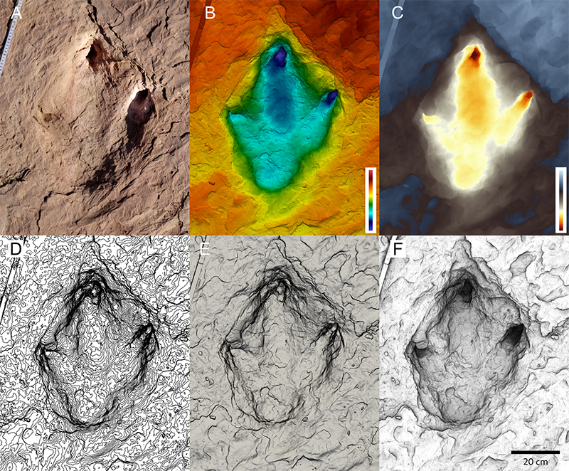 figure3