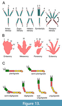 s figure13