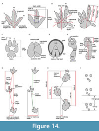 s figure14