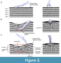 s figure2