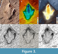 s figure3