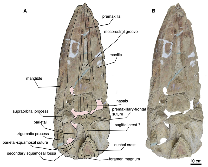 figure2