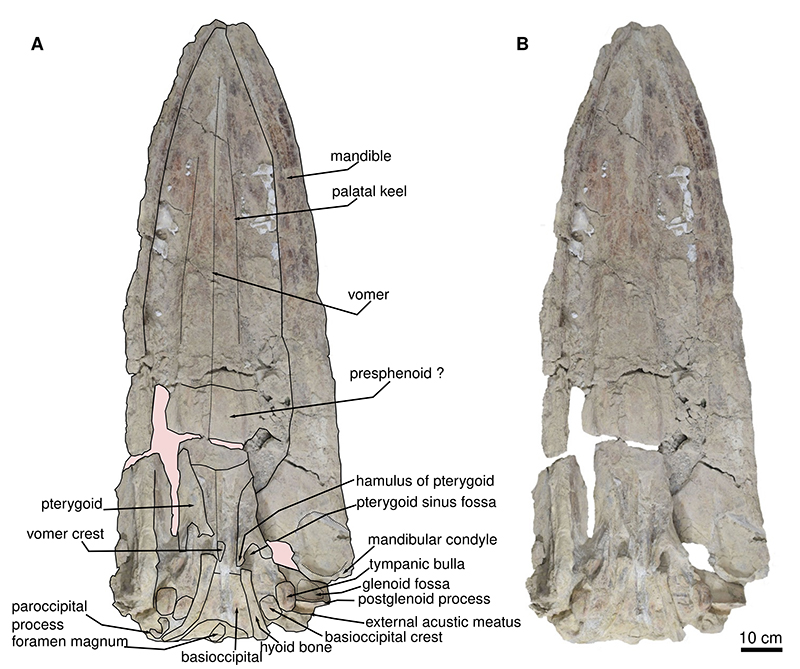 figure3