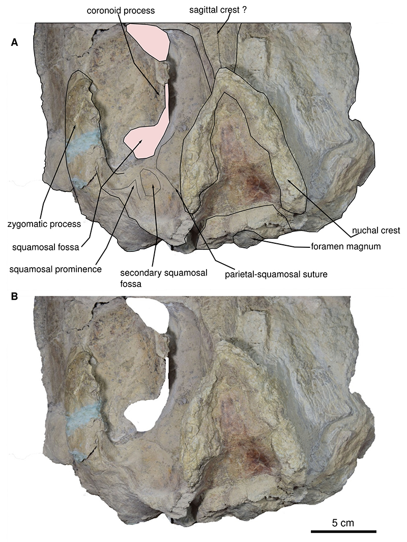 figure4